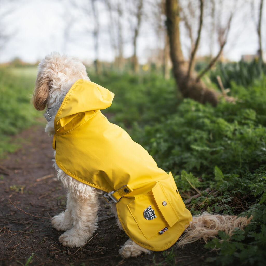 Hugo & Hudson Yellow Raincoat for Dogs