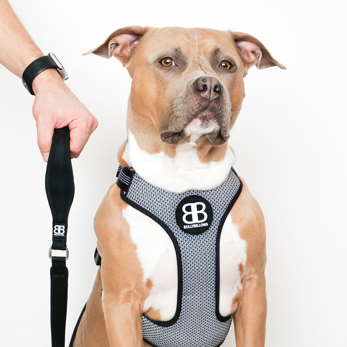 Breathable Active Dog Harness for Large and Small Breeds
