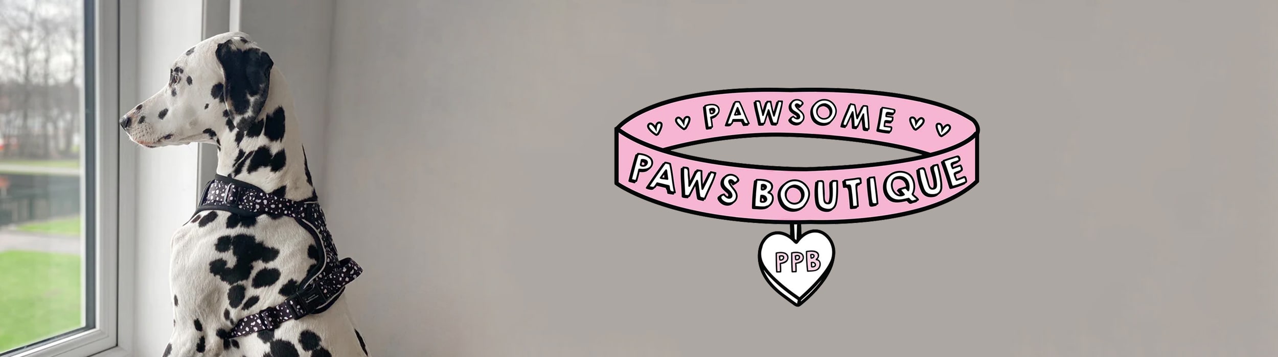 Pawsome Paws Boutique CatDog Ltd