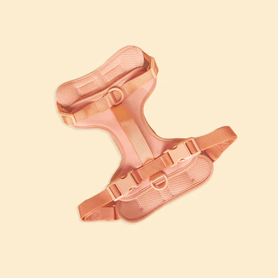 Westley No-Pull Harness in Peach from Catdog Store