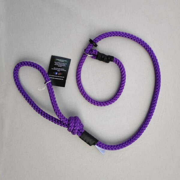 Delta Slip Lead Purple from Catdog Store