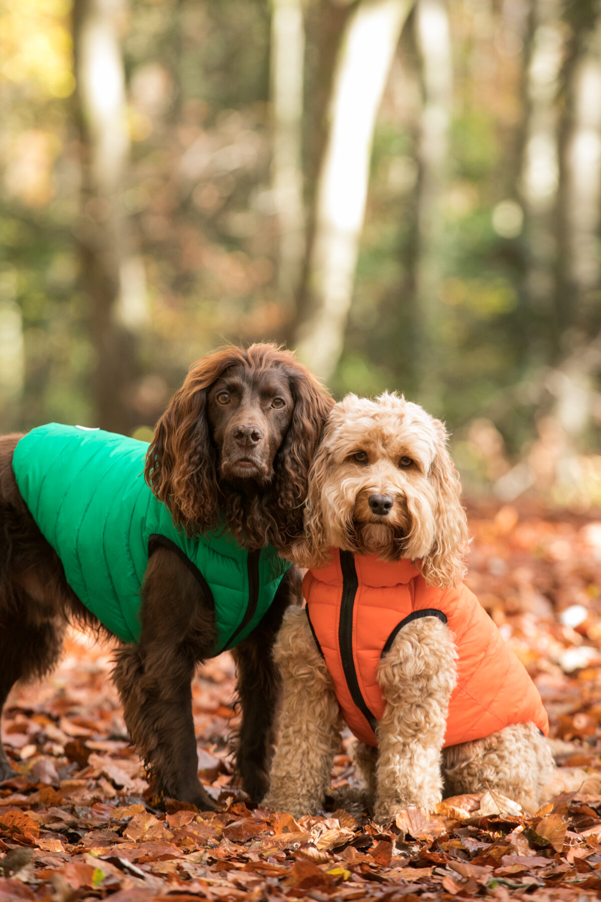 More about our Hugo & Hudson Reversible Dog Puffer Jacket – Orange and Navy | Water Resistant | Collar Attachment Hole from Catdog Store