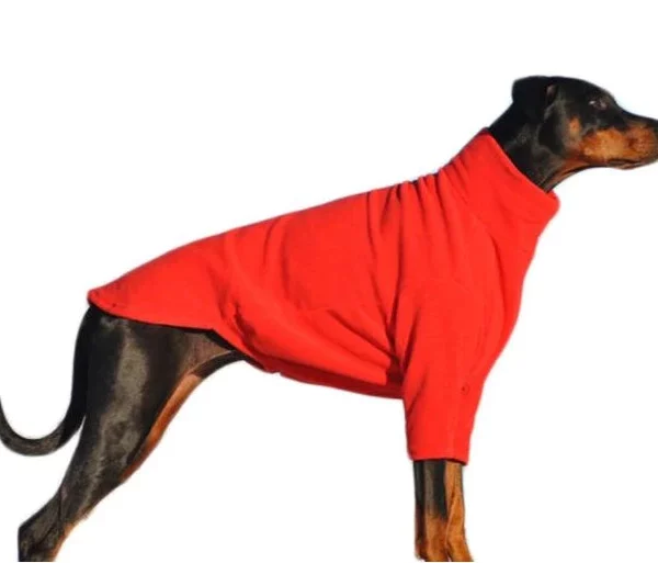 HOTTERdog Dog Jumper from Equafleece - Red from Catdog Store