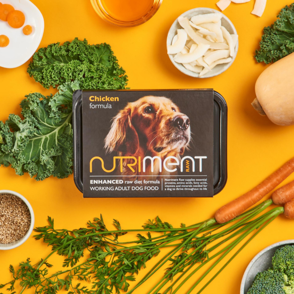 Nutriment Chicken formula | Adult | 500g Tub from CATDOG Store