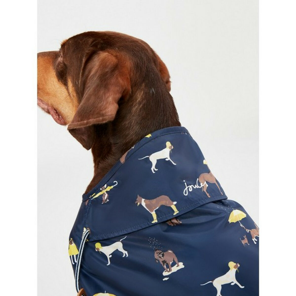 Joules Navy Raincoat from Catdog Store