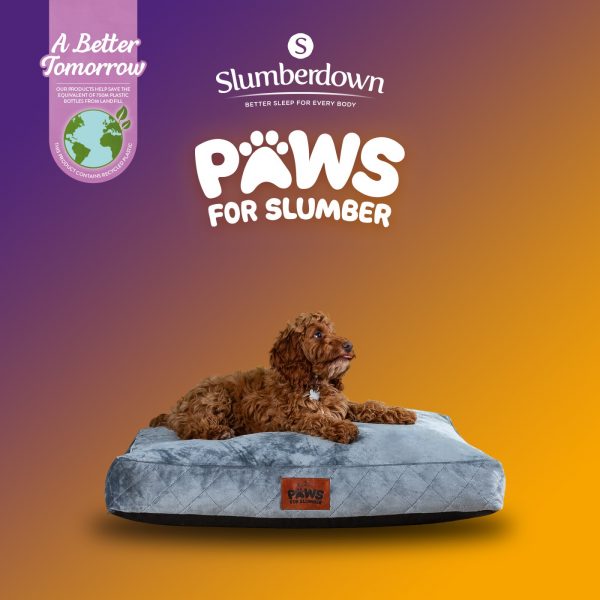 Slumberdown | Paws for Slumber Pet Bed | Medium from Catdog Store