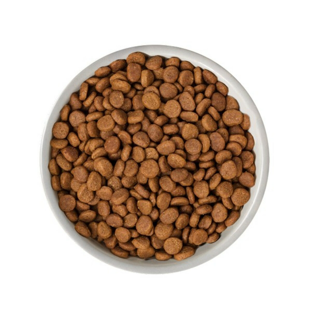 Natures Variety Sterilized Dry Cat Food Norwegian Salmon 1.25kg from Catdog Store