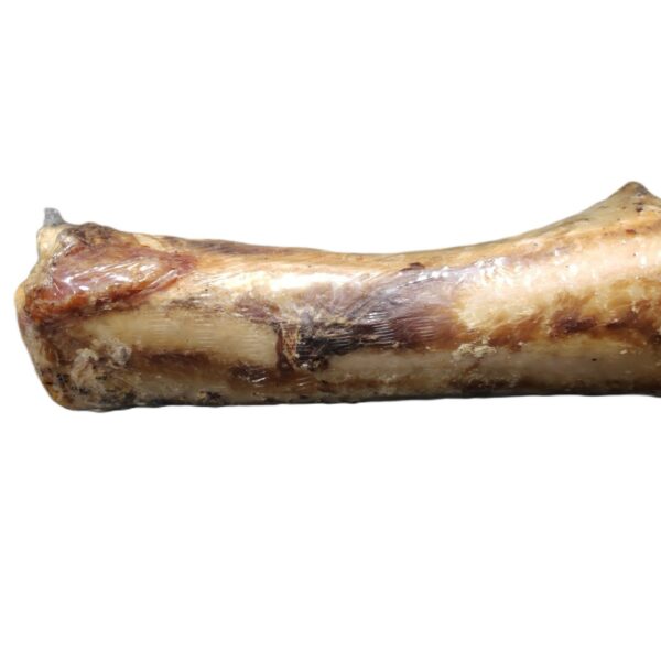 Marrow Bone from Catdog Store