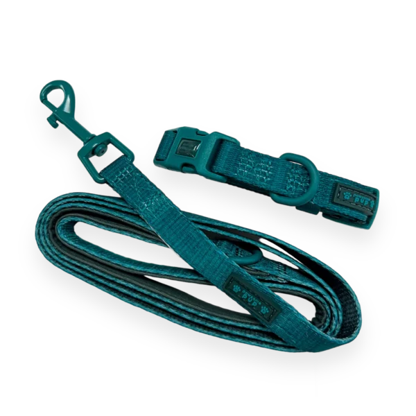 Pawsome Pup Collar and Lead Set - Teal from Catdog Store