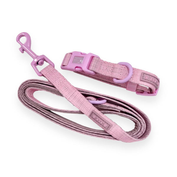 Pawsome Pup Collar and Lead Set - Pink from Catdog Store