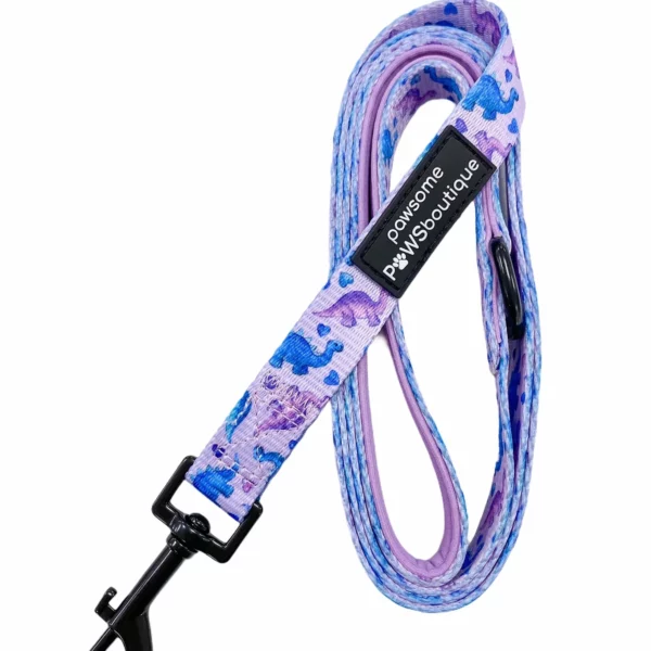 Pawsome Paws Boutique Tiny Diny Lead from Catdog Store