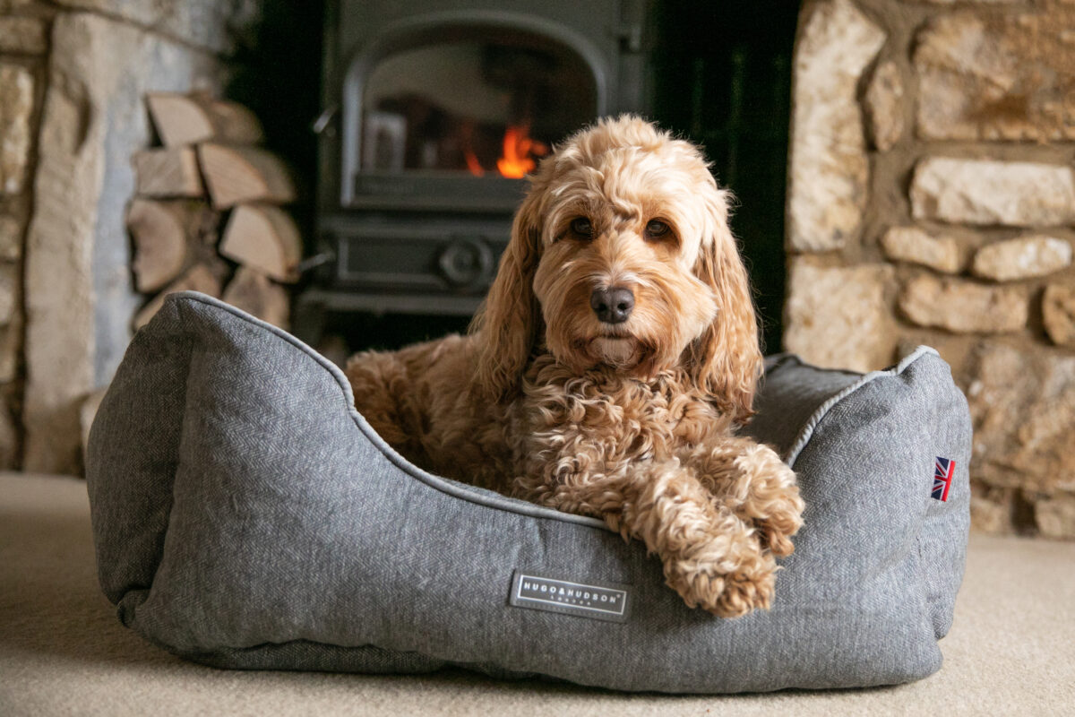 Hugo & Hudson Grey Herringbone Tweed Dog Bed – Medium from Catdog Store