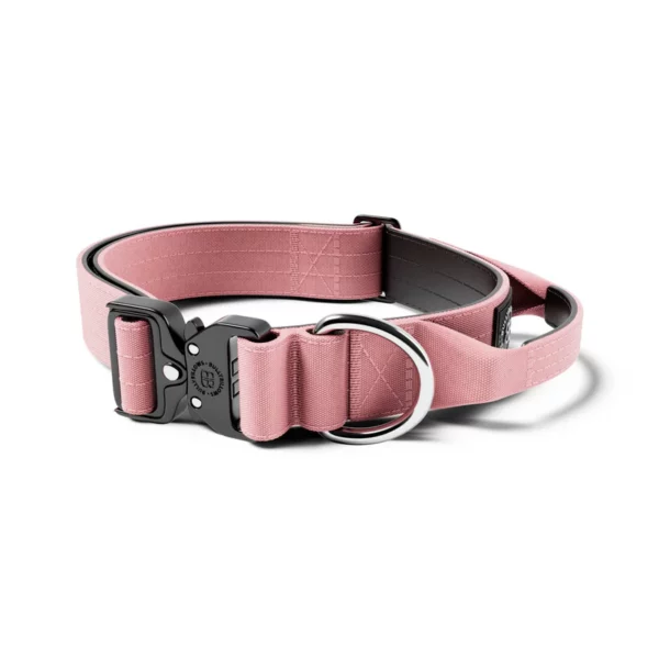 BULLYBILLOWS 4cm Combat Collar | With Handle & Rated Clip - Pink v2.0 from CATDOG Store