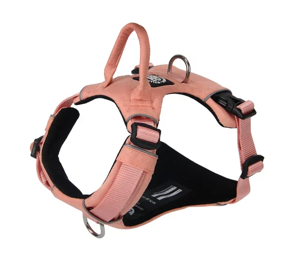 BULLYBILLOWS Air Mesh Harness - Anti-Pull, With Handle, Non Restrictive & Adjustable - Pink from CATDOG Store