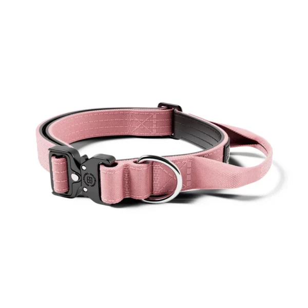 BULLYBILLOWS 2.5cm Combat Collar | With Handle & Rated Clip - Pink v2.0 from CATDOG Store