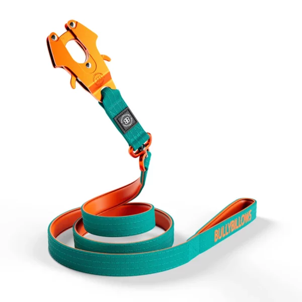 BULLYBILLOWS LIGHTER 1.4m Swivel Combat Lead | Neoprene Lined, Secure Rated Clip with Soft Handle – Turquoise & Orange from CATDOG Store