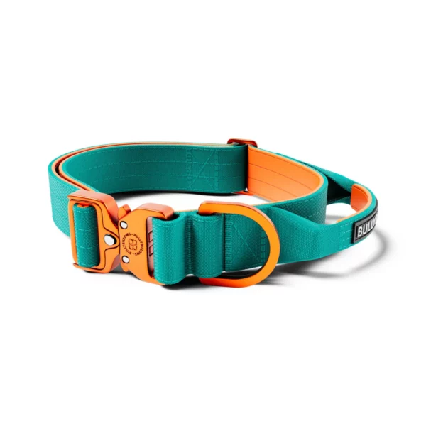 BULLYBILLOWS 4cm LIGHTER Combat Collar | With Handle | Rated Clip | Turquoise & Orange from CATDOG Store