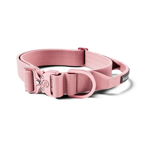 BULLYBILLOWS 4cm LIGHTER Combat Collar | With Handle | Rated Clip | Pink from CATDOG Store