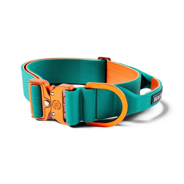 BULLYBILLOWS 5cm LIGHTER Combat Collar | With Handle | Rated Clip | Turquoise & Orange from CATDOG Store