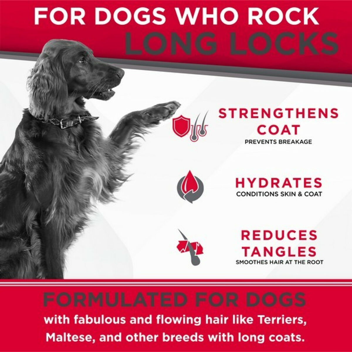 TropiClean Perfect Fur LONG HAIRED COAT Shampoo for Dogs | 473ml from CATDOG Store