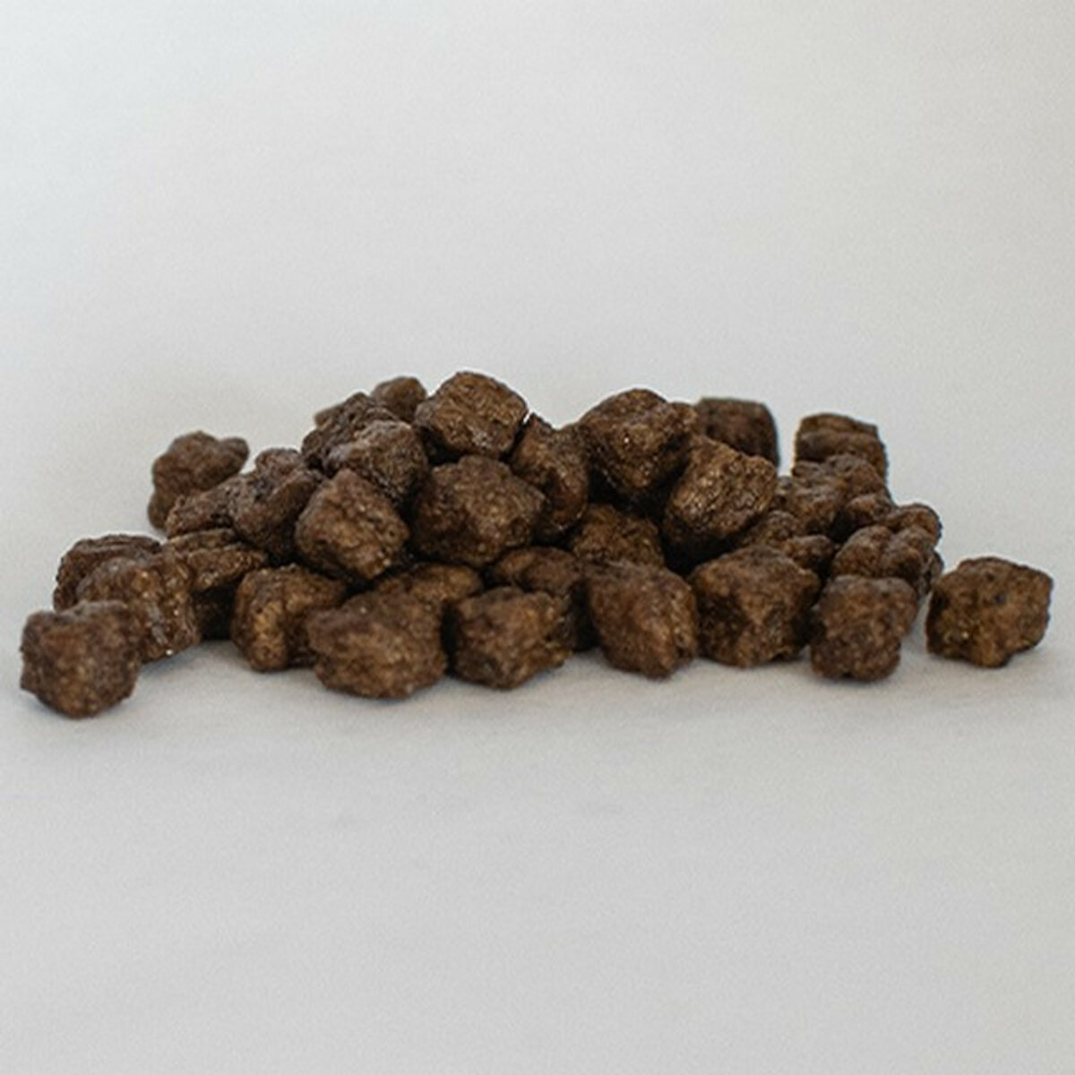 Skinners Field and Trial PUPPY - Image 3