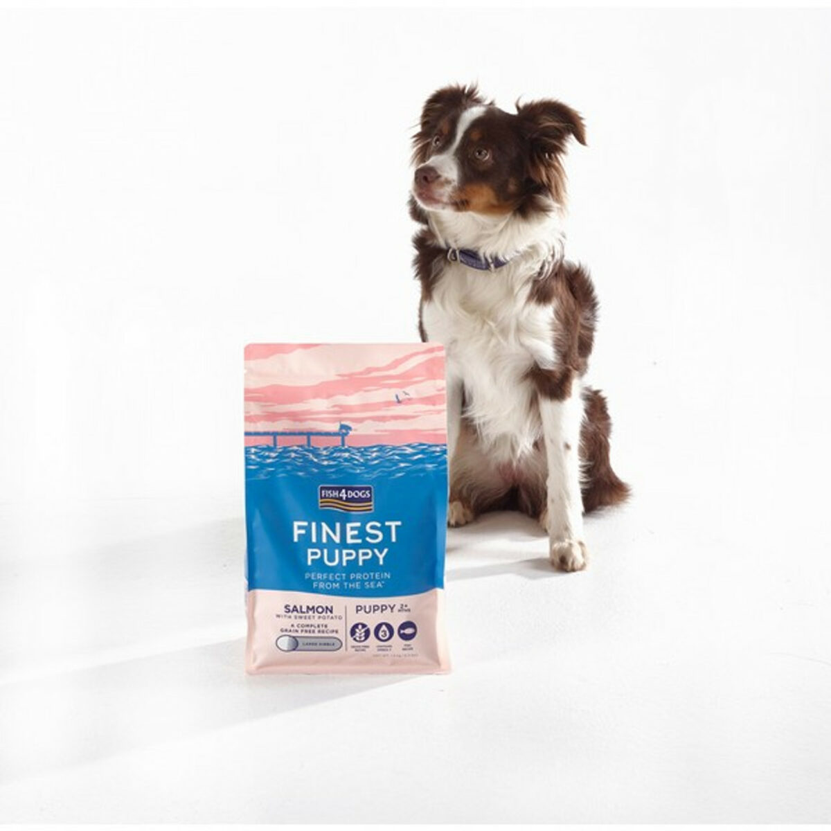 Fish4Dogs Finest PUPPY Salmon with Sweet Potato 1.5kg - Image 5