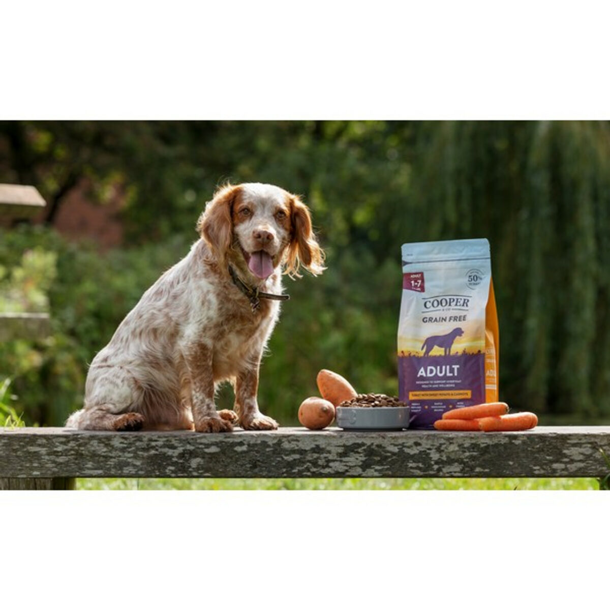 Cooper & Co Adult Turkey with Sweet Potato and Carrots | GRAIN FREE - Image 4