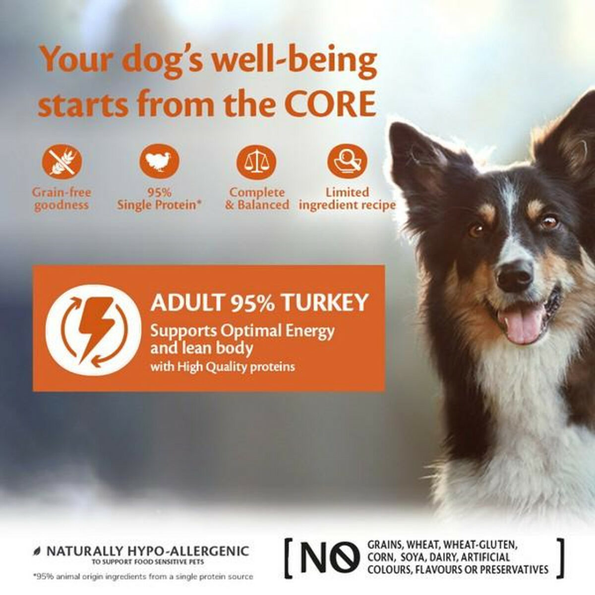 Wellness CORE Dog Wet 95% SINGLE PROTEIN Turkey with Kale Recipe 400g - Image 3