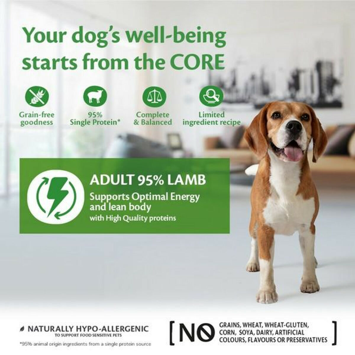 Wellness CORE Dog Wet 95% Single Protein Lamb with Pumpkin Recipe 400g - Image 3