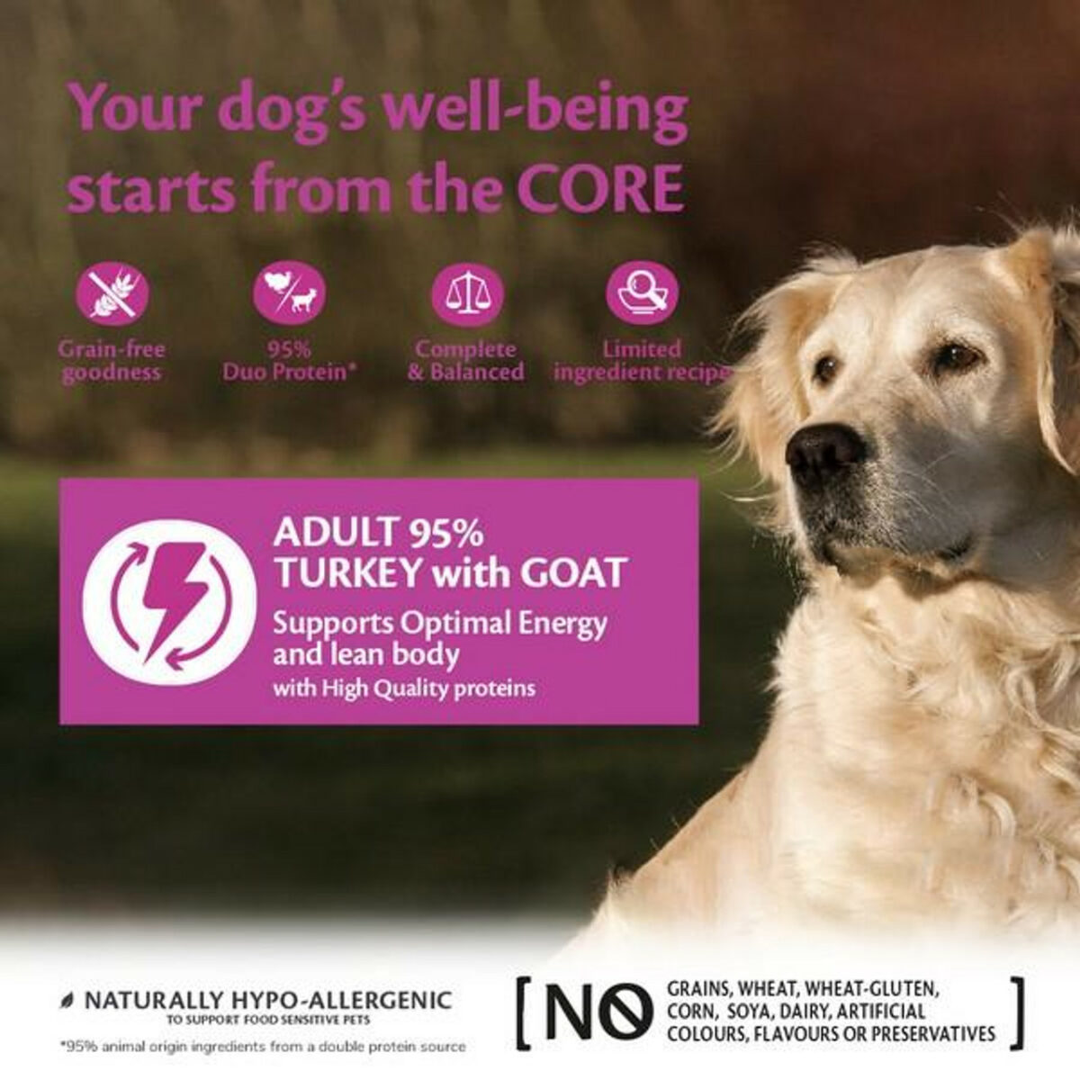 Wellness CORE Dog Wet 95% Duo Protein Turkey & Goat with Sweet Potato Recipe 400g - Image 3
