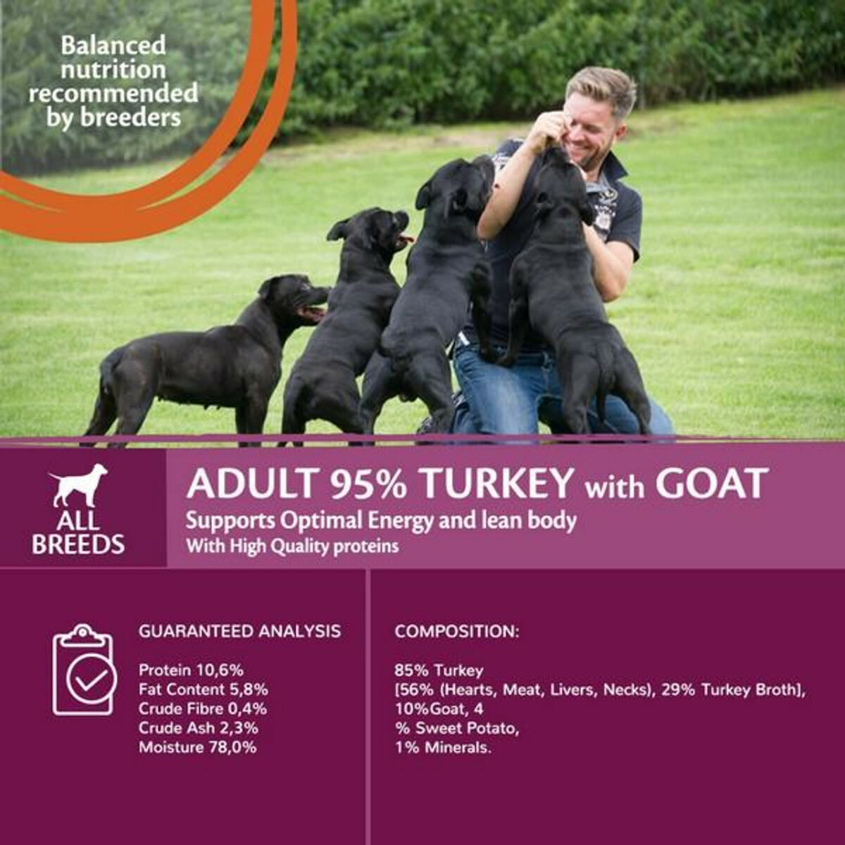 Wellness CORE Dog Wet 95% Duo Protein Turkey & Goat with Sweet Potato Recipe 400g - Image 5