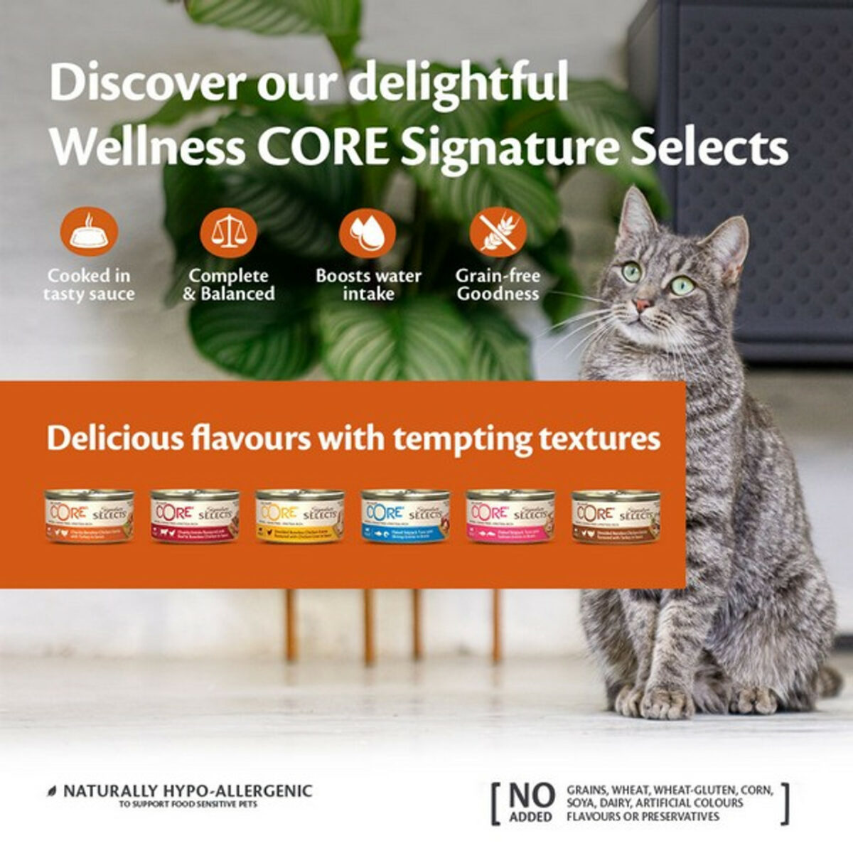 Wellness CORE Cat Wet Adult Signature Selects Flaked Skipjack Tuna with Salmon Entree in Broth Recipe 79g - Image 2
