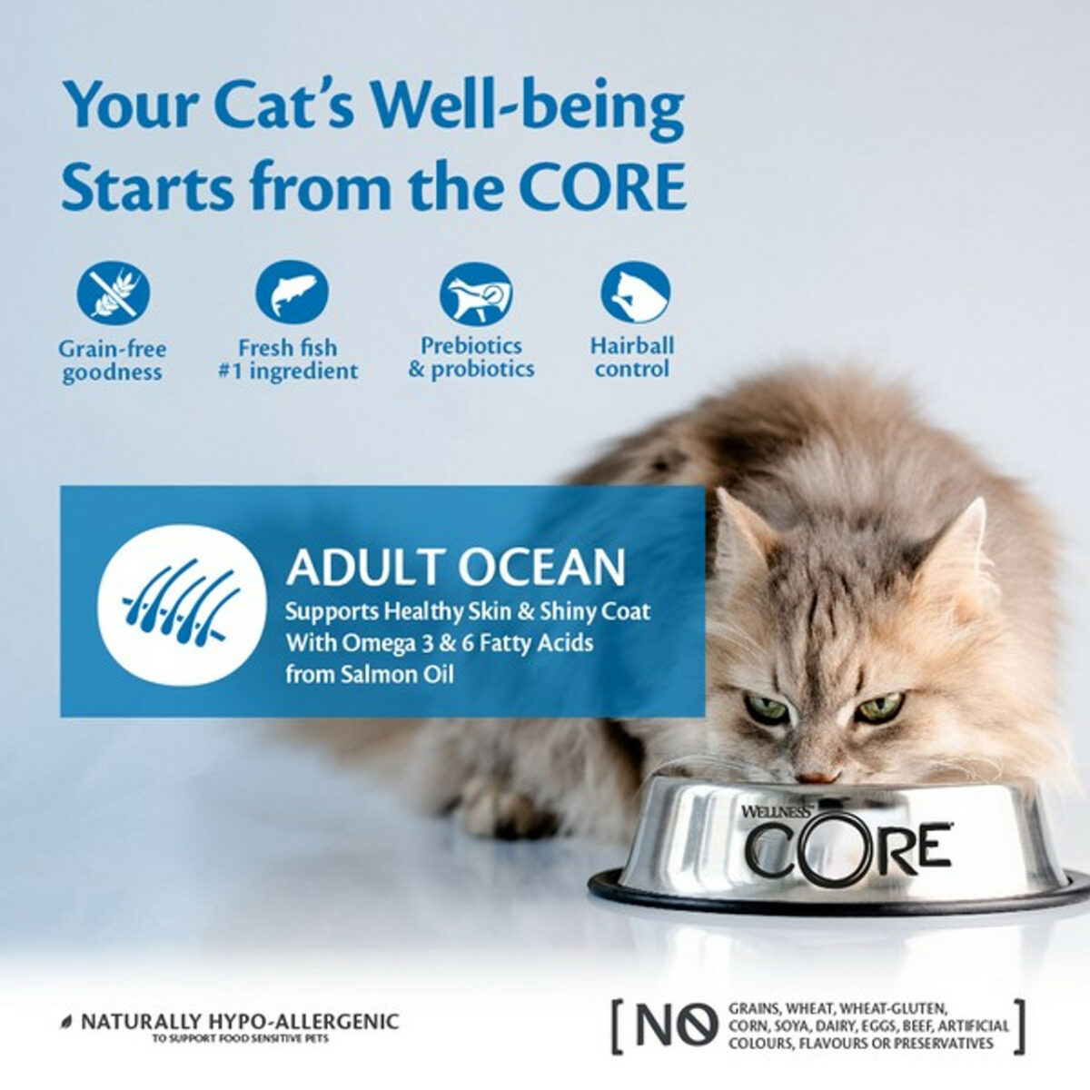 Wellness CORE Cat Dry Adult Ocean - Salmon with Tuna Recipe - Image 4