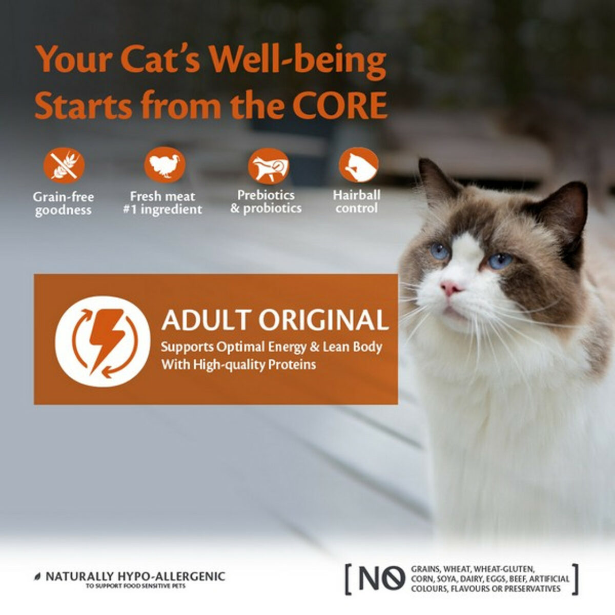 Wellness CORE Cat Dry Adult Original - Turkey and Chicken Recipe - Image 4