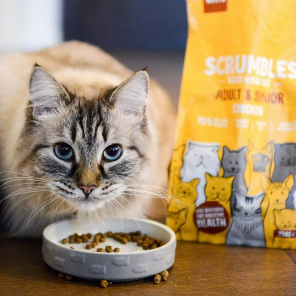 Scrumbles Adult Dry Cat Food | Chicken | 750g - Image 3