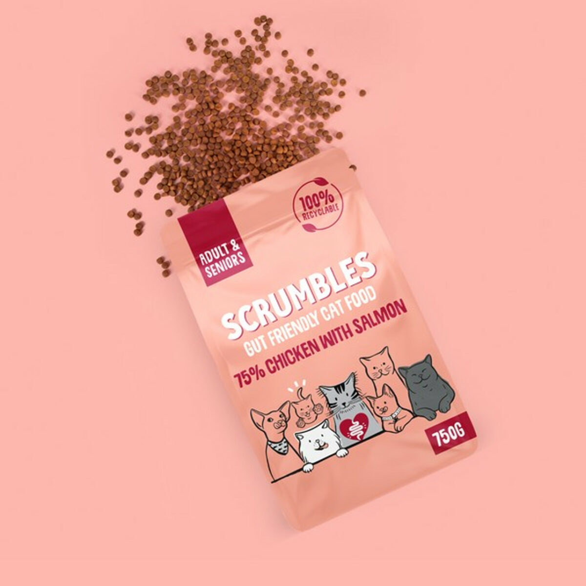 Scrumbles Adult Dry Cat Food | Salmon | 750g - Image 3
