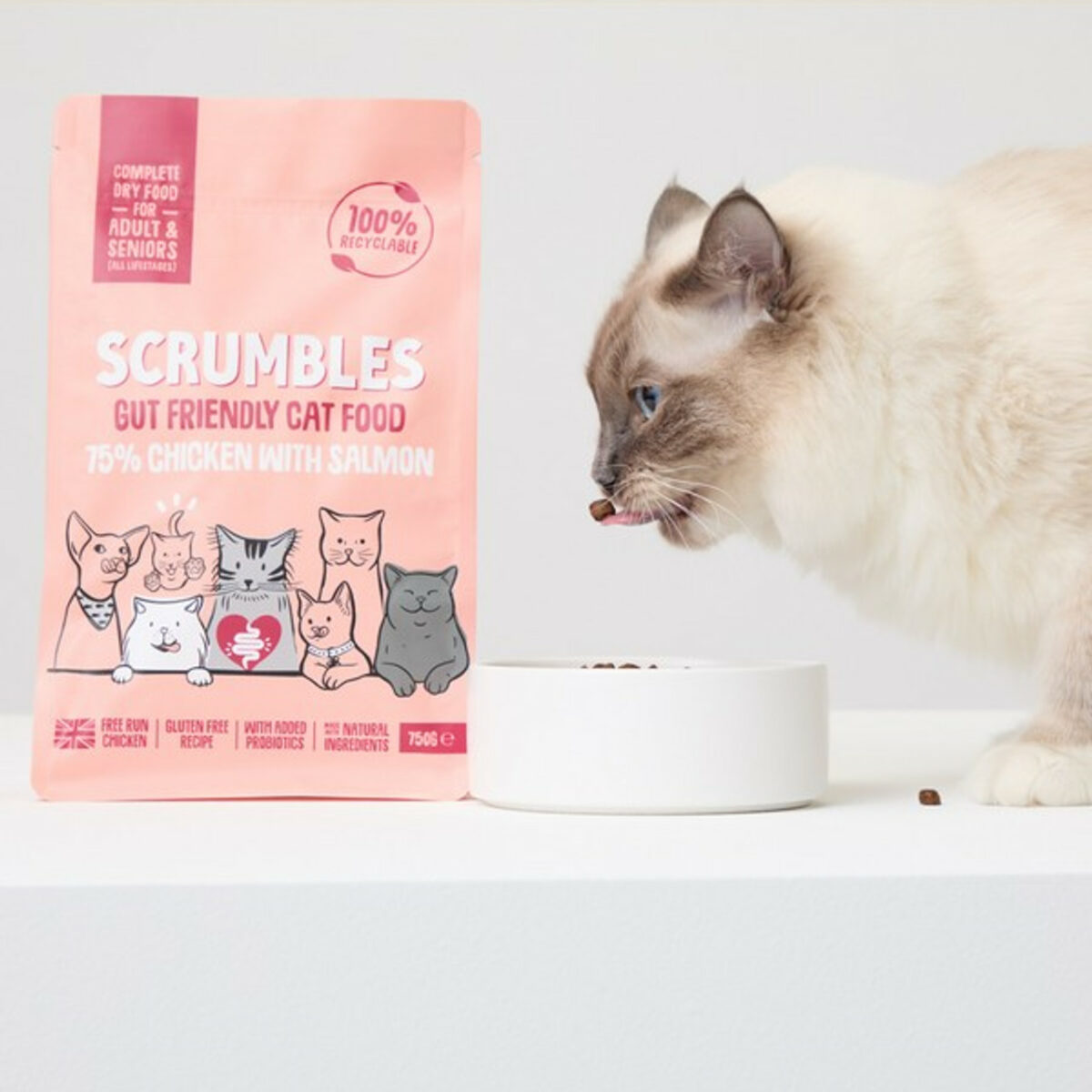 Scrumbles Adult Dry Cat Food | Salmon | 750g - Image 4