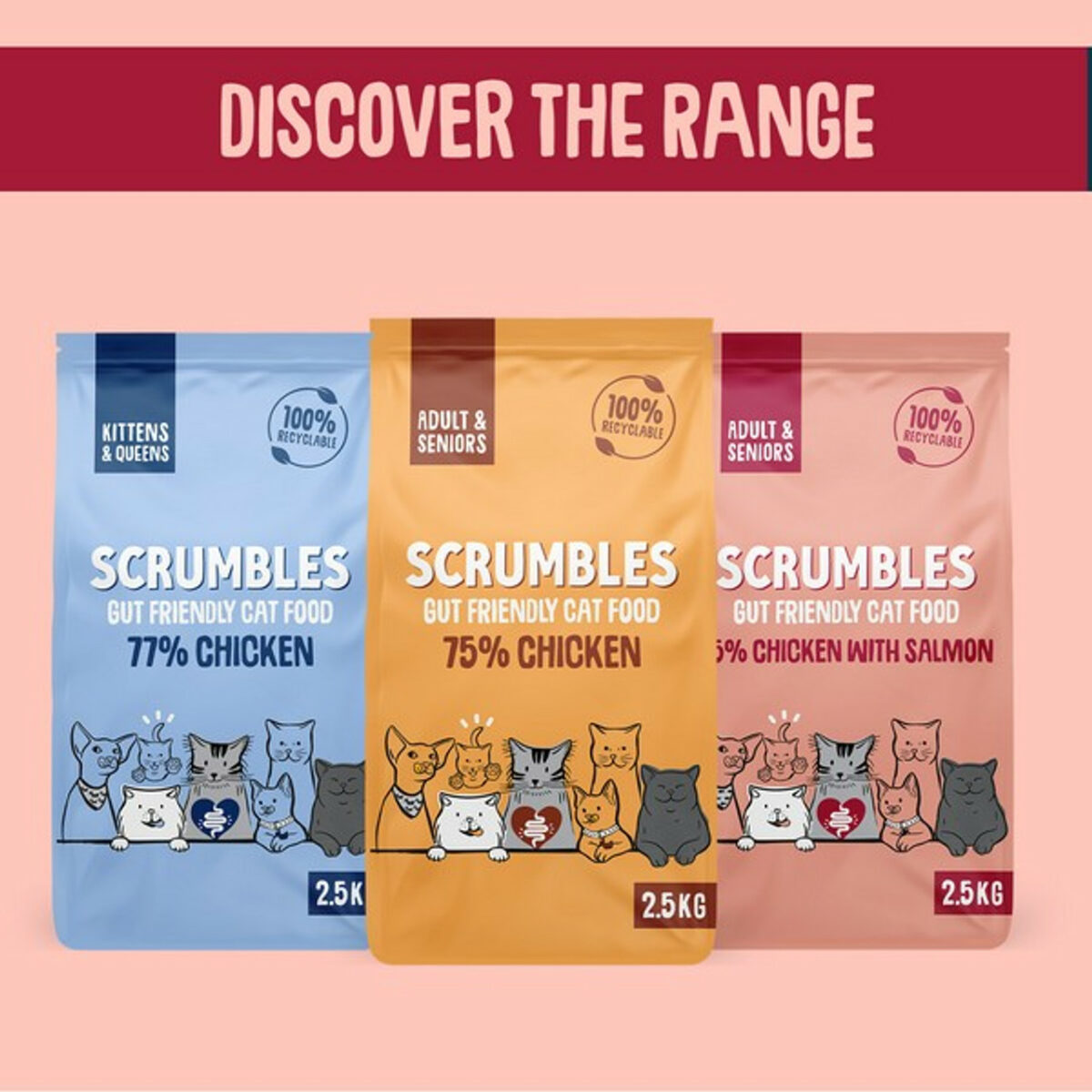 Scrumbles Adult Dry Cat Food | Salmon | 750g - Image 7