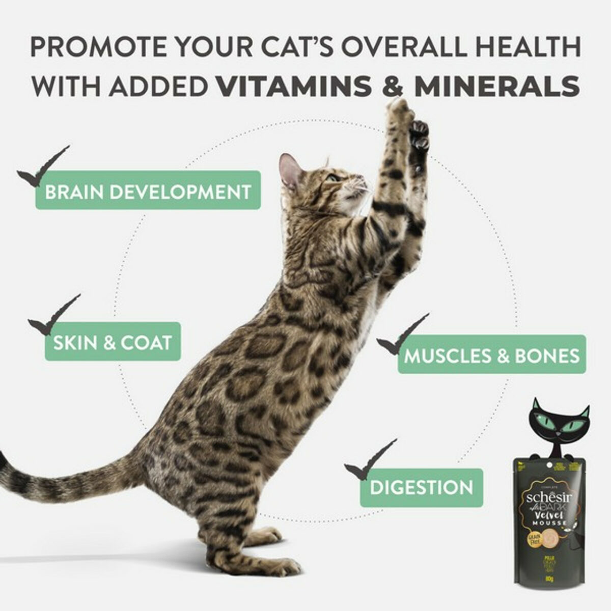 Schesir After Dark Velvet Adult Cat | Chicken | 80g - Image 6