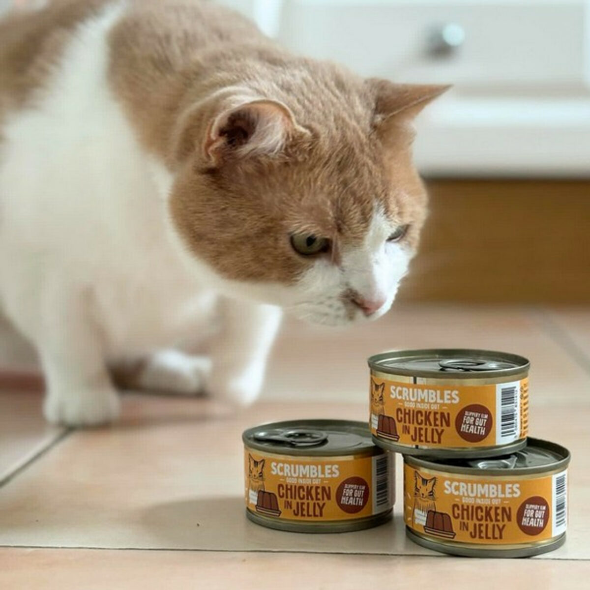 Scrumbles Wet Cat Jelly Chicken 80g - Image 5