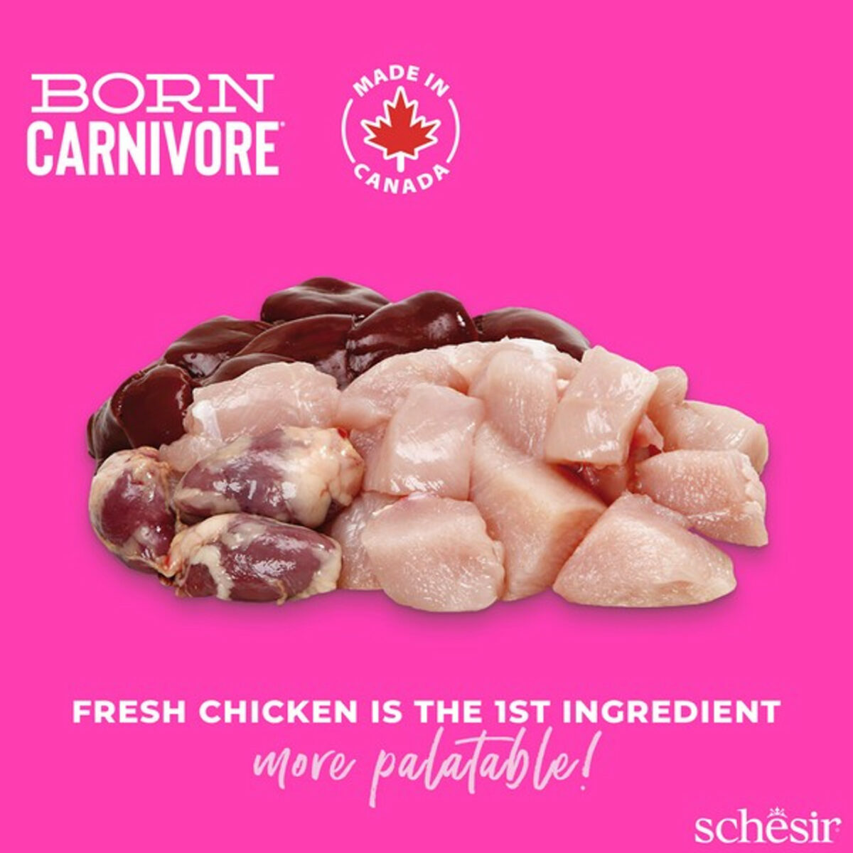 Schesir Dry Born Carnivore Chicken & Egg | 'Baby' (Kitten) | 1.25Kg - Image 6