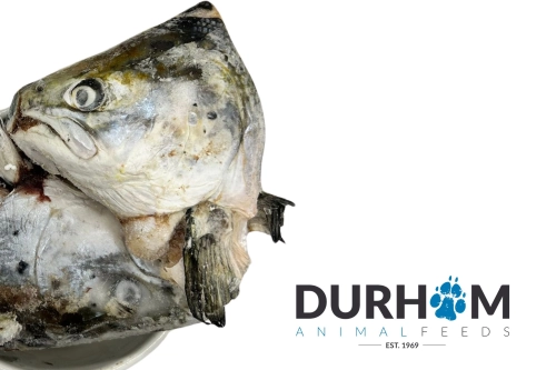 Frozen Salmon Heads | 3pcs
