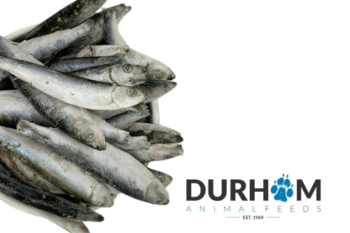 Frozen Sprats | 1kg