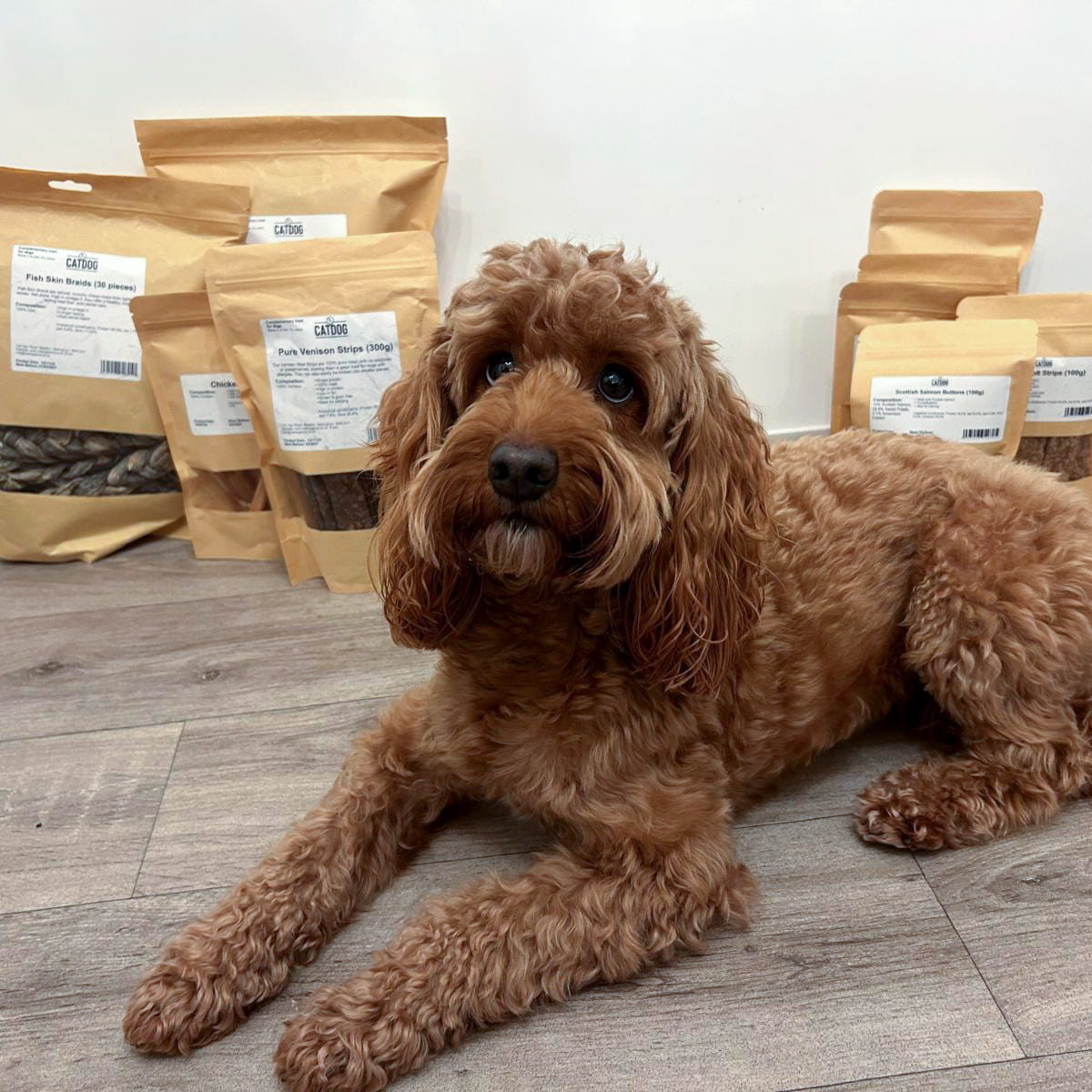 catdog natural dog treats available in arnold pet shop