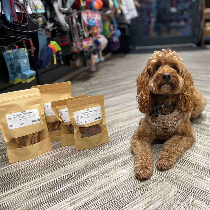 catdog natural dog treats available in Beeston pet shop