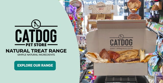 catdog store's natural dog treat range in a box
