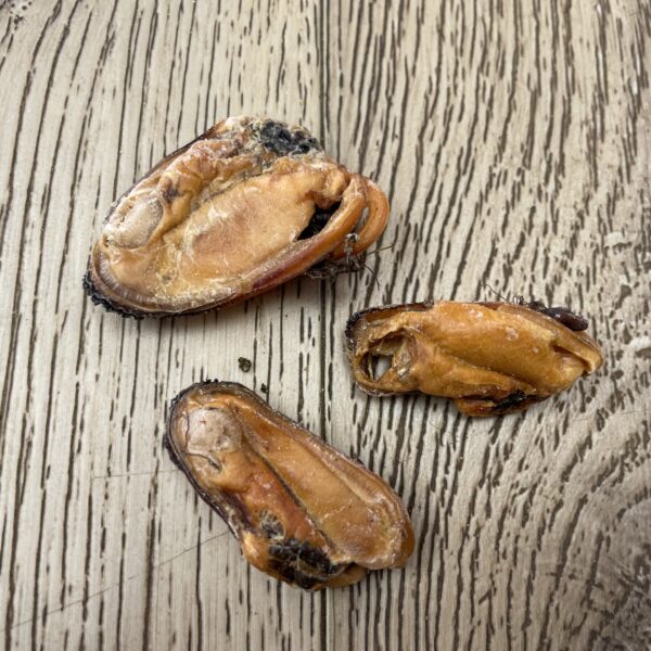 Green Lipped Mussels - Dog treat for joints