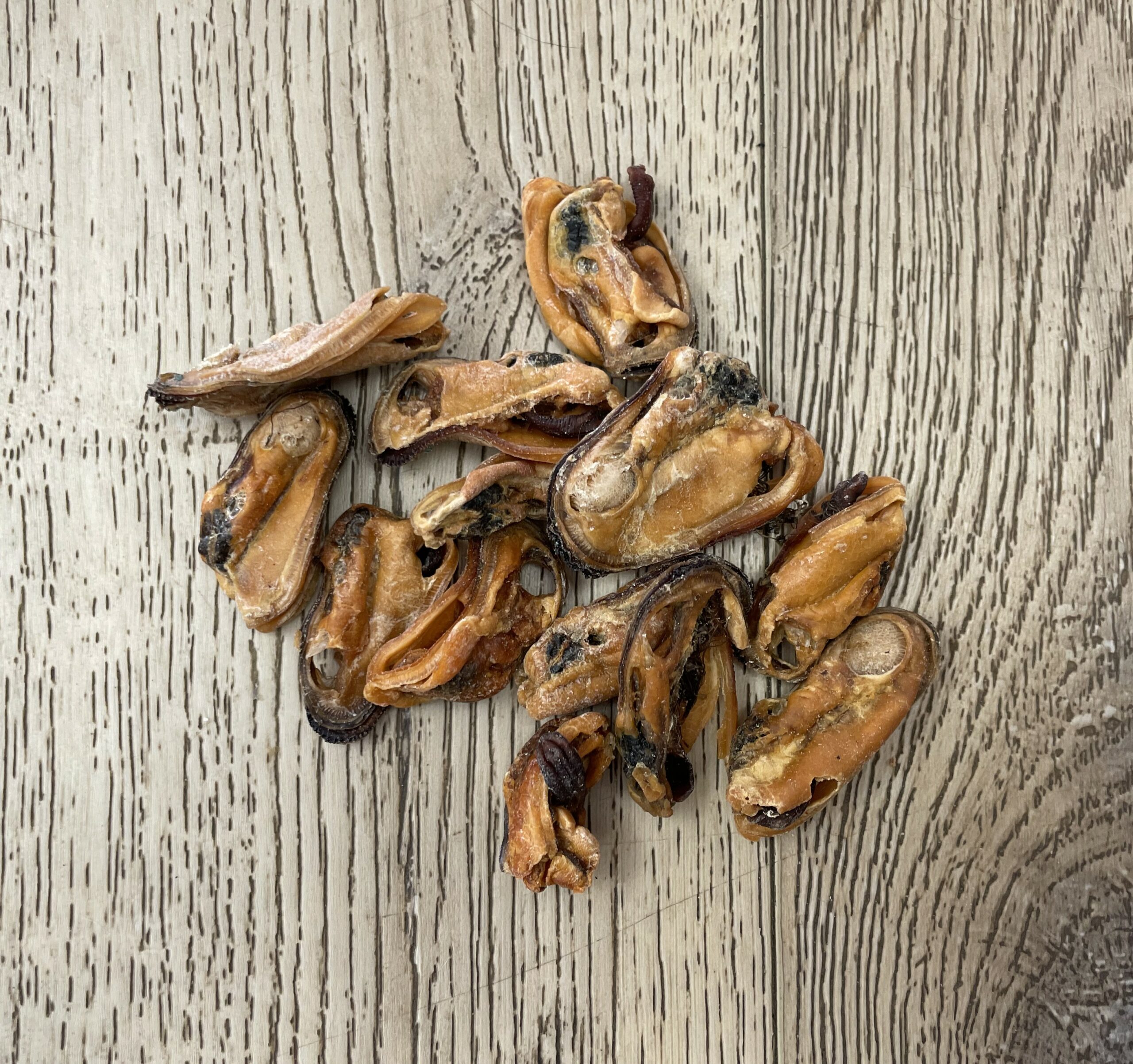 CATDOG Green Lipped Mussels - Air Dried - 'Joints and Mobility' Dog Treat - Image 4
