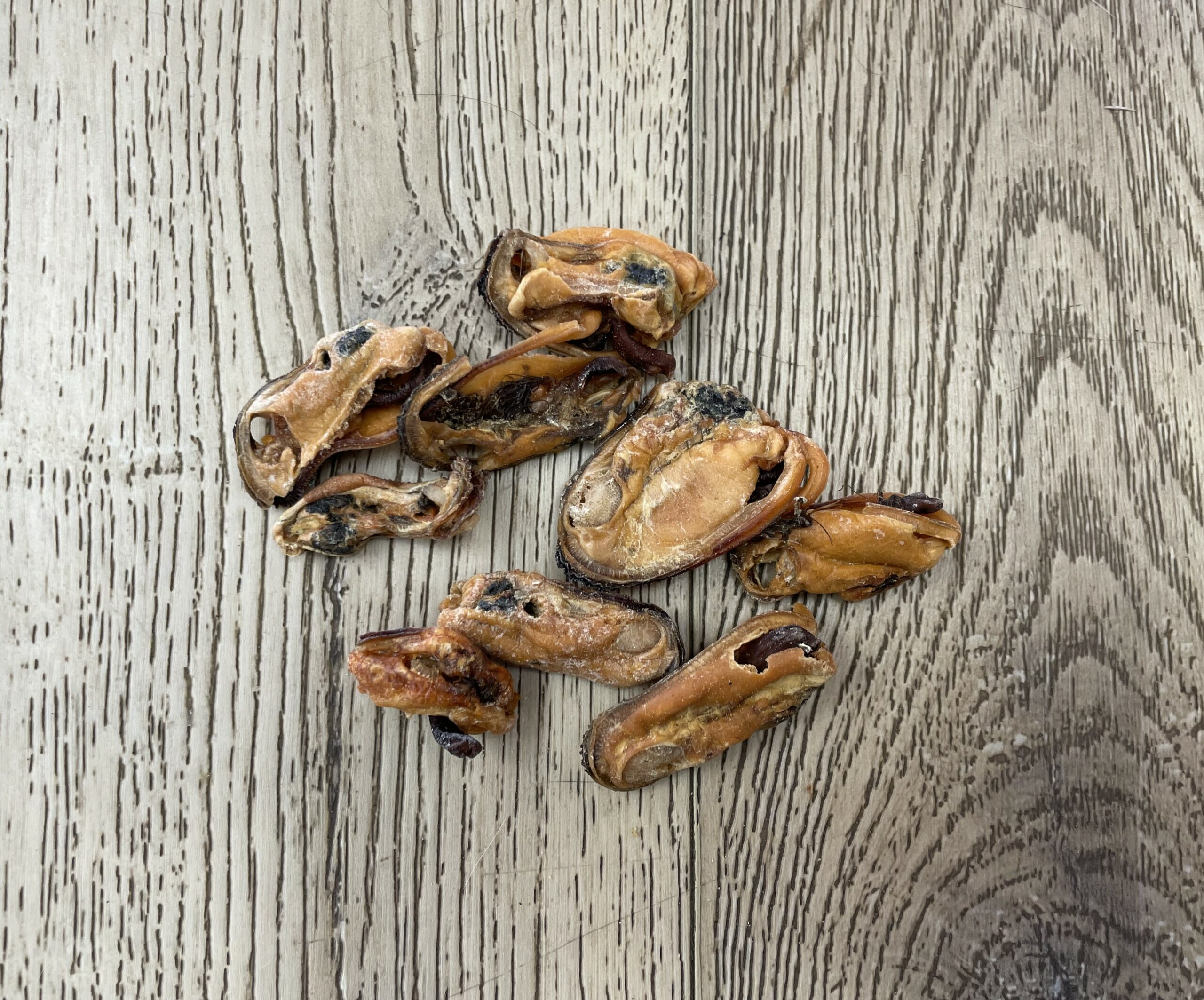 CATDOG Green Lipped Mussels - Air Dried - 'Joints and Mobility' Dog Treat - Image 5
