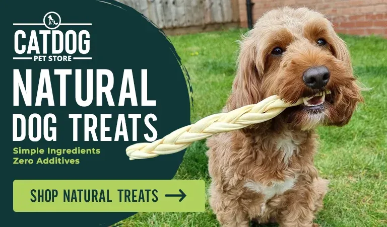 Dog with CATDOG natural dog treats in on the grass